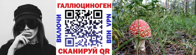 Купить где  Серпухов  Галлюциногенные грибы мицелий 